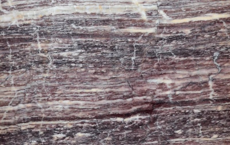 Blackberry Vein Cut