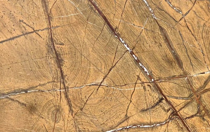 Rain Forest Brown 