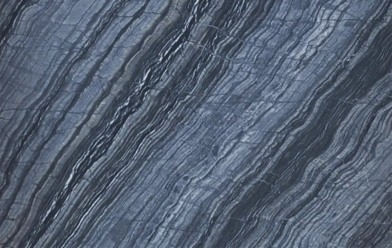 Zebra Black