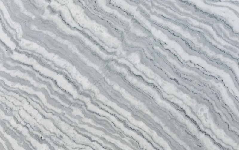 Zebra White